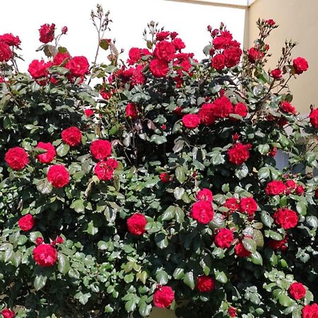 Mil Rosas Hotell Las Grutas Exteriör bild